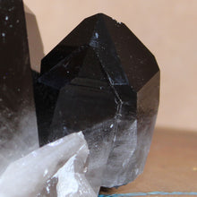 Load image into Gallery viewer, Close up