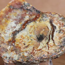 Load image into Gallery viewer, Large Fossil Dino Poop - Red Yellow Coprolite