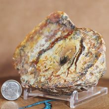 Load image into Gallery viewer, Large Fossil Dino Poop - Red Yellow Coprolite