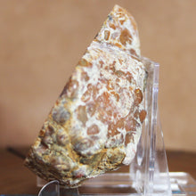 Load image into Gallery viewer, Large Fossil Dino Poop - Red Yellow Coprolite