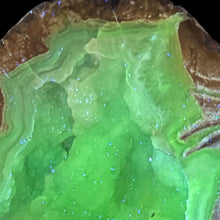 Load image into Gallery viewer, Blue Dugway Open Lumpy Geode Green Fluorescence