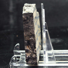 Load image into Gallery viewer, Mammoth Fossil Tooth in Display Case