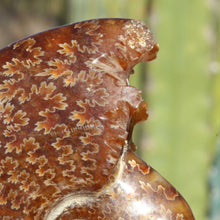 Load image into Gallery viewer, Side profile