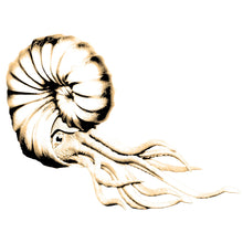 Load image into Gallery viewer, Depiction of ammonite in life