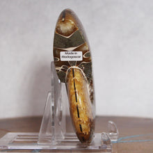 Load image into Gallery viewer, Ammonite Cleoniceras - Deep Brown Rich Yellow Oak Leaf Sutures