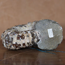 Load image into Gallery viewer, View of mouth