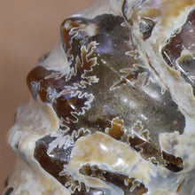 Load image into Gallery viewer, Close up of sutures