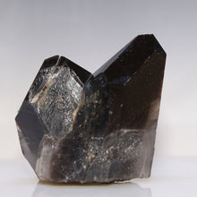 Load image into Gallery viewer, Raven Black Smoky Quartz - 2 Prominent Points