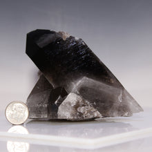 Load image into Gallery viewer, Jet Black Smoky Quartz - Large Prominent Spear