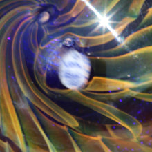 Load image into Gallery viewer, Signature Kevin O'Grady