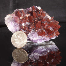 Load image into Gallery viewer, Size comparison with dime