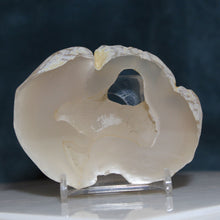 Load image into Gallery viewer, Window Geode Oregon Chalcedony