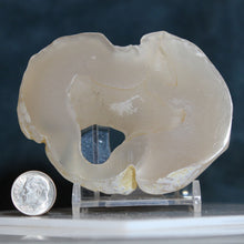Load image into Gallery viewer, Window Geode Oregon Chalcedony