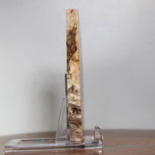 Load image into Gallery viewer, Large Fossil Dinosaur Poop - Red Beige Coprolite