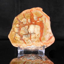 Load image into Gallery viewer, Dinosaur Poop Fossilized Coprolite