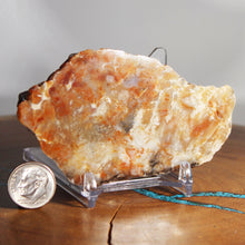 Load image into Gallery viewer, Fossil Dinosaur Coprolite Cross Section - Orange Beige Poop