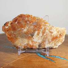 Load image into Gallery viewer, Fossil Dinosaur Coprolite Cross Section - Orange Beige Poop