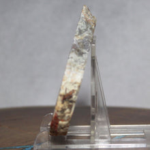 Load image into Gallery viewer, Fossil Dinosaur Coprolite Cross Section - Triangular Poop