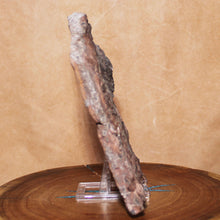 Load image into Gallery viewer, Side view