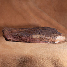 Load image into Gallery viewer, Edge view of crinoid fossil