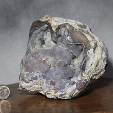 Load image into Gallery viewer, Rich Blue Dugway Geode - Double Chambers