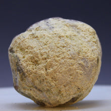 Load image into Gallery viewer, Close-up of a textured stone on a gradient background
