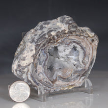 Load image into Gallery viewer, Size comparison with dime of Dugway Geode Double Chamber