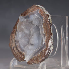 Load image into Gallery viewer, Geode on a clear stand against a gray background