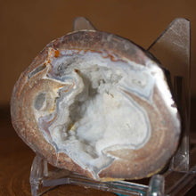 Load image into Gallery viewer, Petite Blue Dugway Geode Finely Defined Crystals