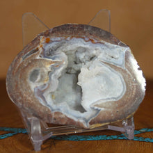 Load image into Gallery viewer, Petite Blue Dugway Geode Finely Defined Crystals