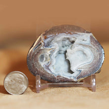 Load image into Gallery viewer, Petite Blue Dugway Geode Finely Defined Crystals