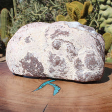 Load image into Gallery viewer, Blue Dugway Double Geode Fine Druzy Crystals