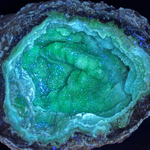 Load image into Gallery viewer, Rich Blue Dugway Geode - Lavendar Fuzz