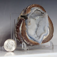 Load image into Gallery viewer, Soft Blue Dugway Geode Half Prominant Open Chamber