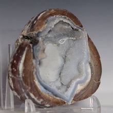 Load image into Gallery viewer, Soft Blue Dugway Geode Half Prominant Open Chamber