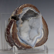 Load image into Gallery viewer, Soft Blue Dugway Geode Half Prominant Open Chamber