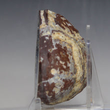 Load image into Gallery viewer, Soft Blue Dugway Geode Half Prominant Open Chamber