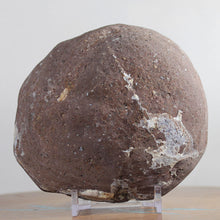 Load image into Gallery viewer, Blue Gray Lavender Dugway Geode Boytroidal Chamber