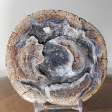 Load image into Gallery viewer, Blue Boytroidal Dugway Geode Deep Concentric Chambers