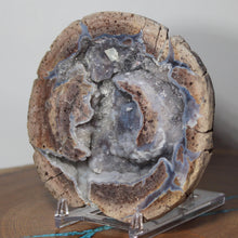 Load image into Gallery viewer, Blue Boytroidal Dugway Geode Deep Concentric Chambers
