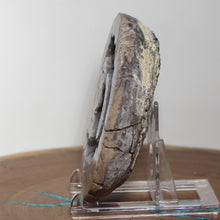 Load image into Gallery viewer, Blue Boytroidal Dugway Geode Deep Concentric Chambers