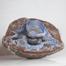 Load image into Gallery viewer, Blue & Brown Dugway Bat Shaped Chamber Geode Crystal