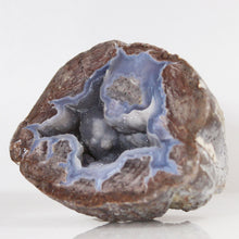Load image into Gallery viewer, Blue & Brown Dugway Bat Shaped Chamber Geode Crystal
