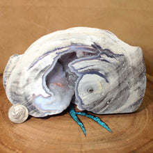 Load image into Gallery viewer, Blue Dugway Geode Vertical Open Chamber