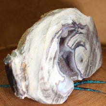 Load image into Gallery viewer, side view