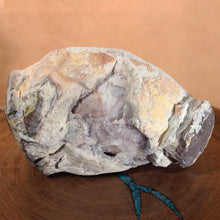 Load image into Gallery viewer, Back view