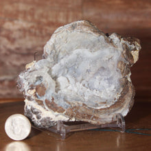 Load image into Gallery viewer, Soft Light Blue Dugway Geode Half Green Fluorescence