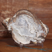 Load image into Gallery viewer, Soft Light Blue Dugway Geode Half Green Fluorescence