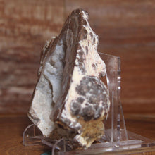 Load image into Gallery viewer, Soft Light Blue Dugway Geode Half Green Fluorescence