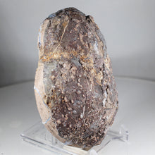 Load image into Gallery viewer, Blue Quartz Dugway Geode Ice Crystals Chamber